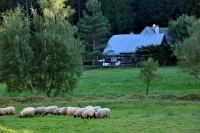 /album/fotogalerie/a602895-508061449283006-848505352-n-jpg/